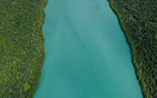 Bacalar Jungle: Residential lots for sale in Bacalar