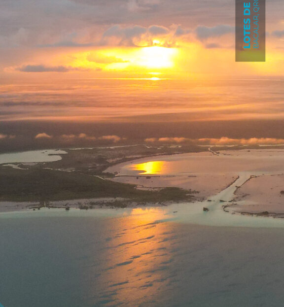 Bacalar Jungle