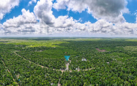 Ki’in Luxury Residential Lots in Tulum