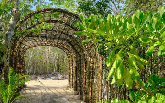 Kuyabeh: Ecological Community Nestled in 375 protected hectares in Tulum