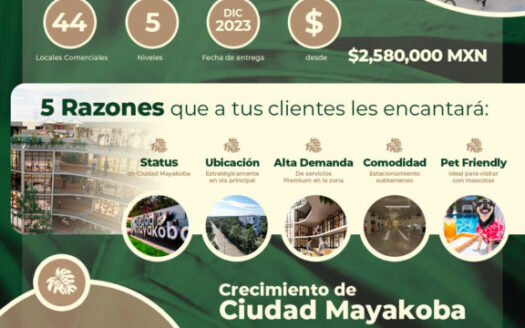 Commercial premises in Plaza Onkobá, Playa del Carmen – Mayakoba