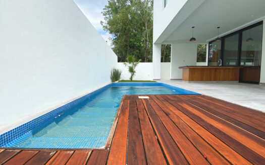 Luxurious double height ceiling house in Ciudad Mayakobá.