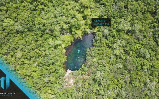 Tulum Heights: Land for Sale in Cenotes Area Chemuyil – Tulum