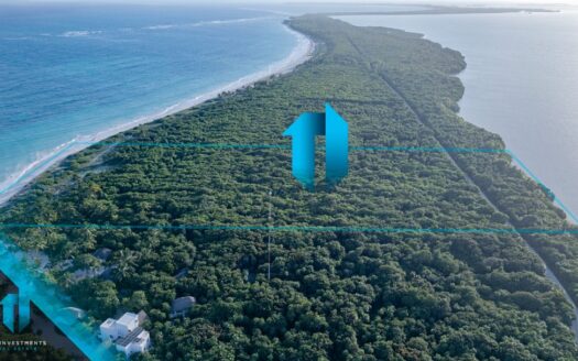 Land for Sale in the Spectacular Biosphere of Sian Kaan