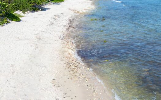 Beachfont lots for sale in Mahahual