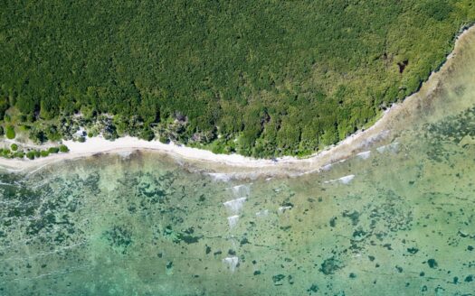 Beachfont lots for sale in Mahahual