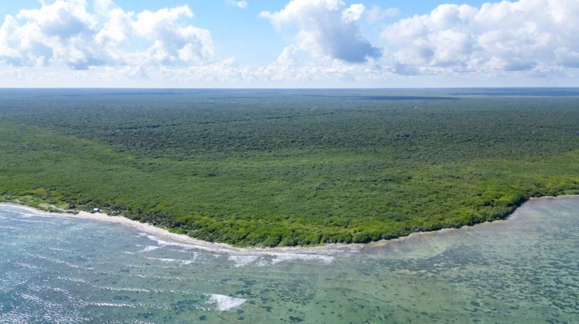 Investment lots for sale at beachfront Mahahual