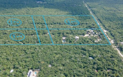 Residential lot with a private cenote and increased value for sale in Chemuyil