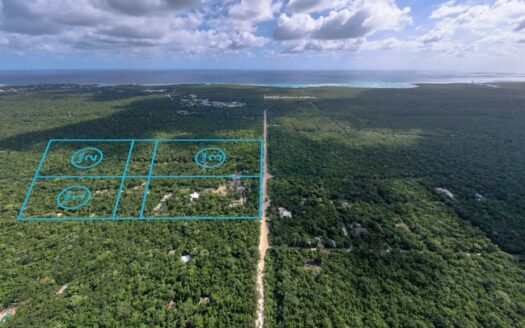 Residential lot with a private cenote for sale in Chemuyil