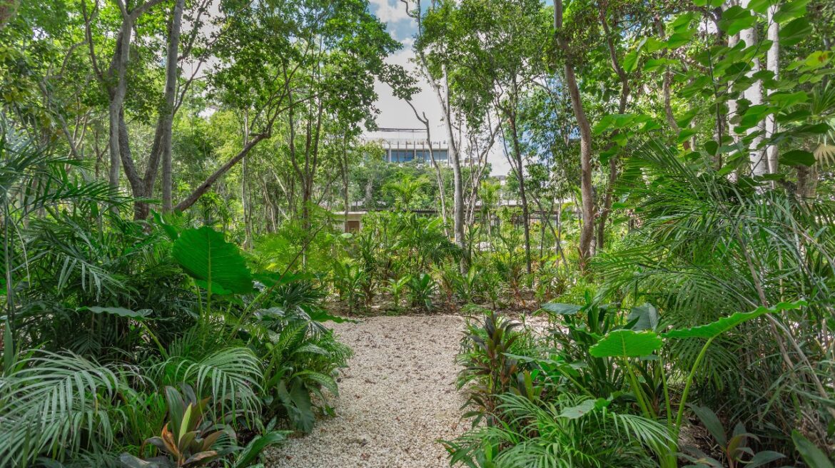 Mistiq temple 2 loft studio in Tulum