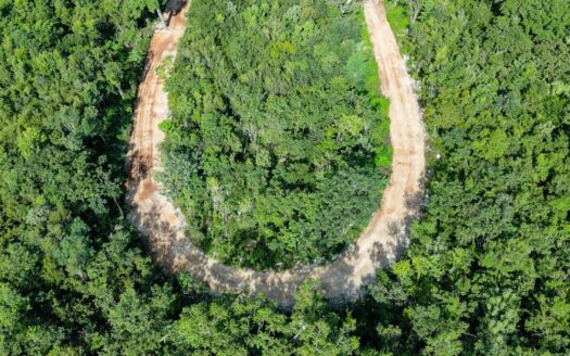 Xacan: Exclusive Lots Surrounded by Nature in Tulum