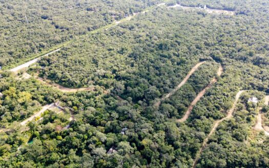 Xacan: Exclusive Lots Surrounded by Nature in Tulum