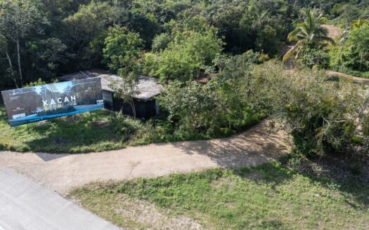 Xacan: Exclusive Lots Surrounded by Nature in Tulum