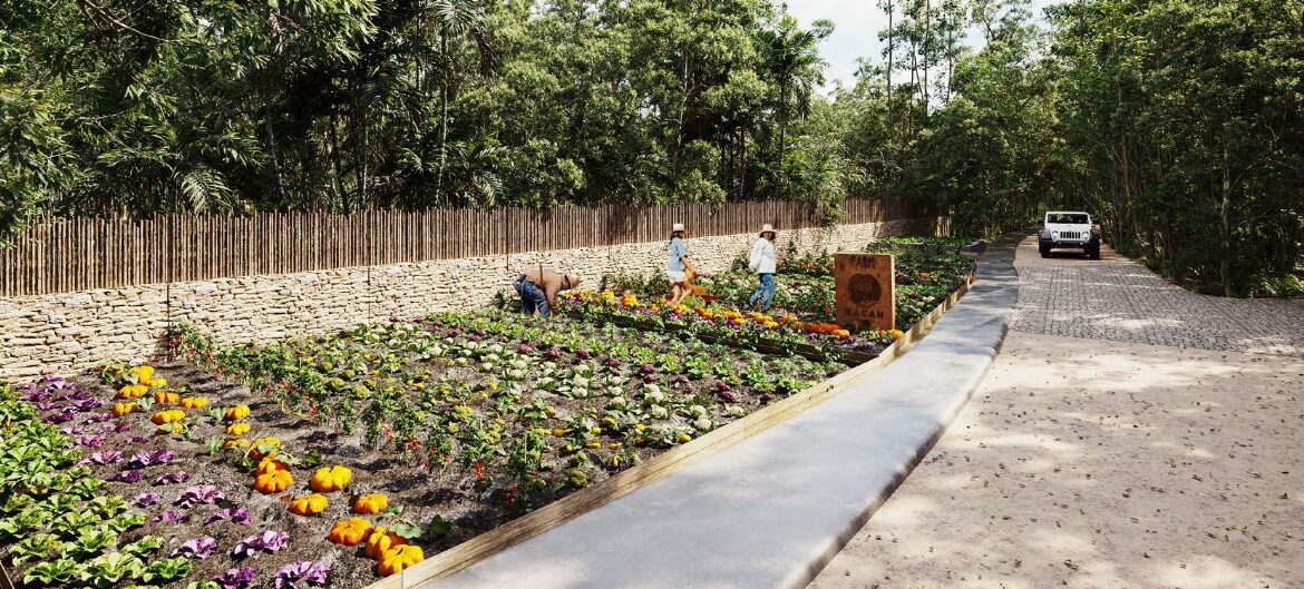 Xacan Residential lots in Tulum