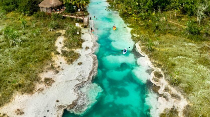 Bacalar