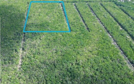 Investment Lot for sale at Region 12, Tulum