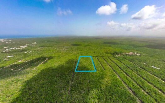 Investment Lot for sale at Region 12, Tulum