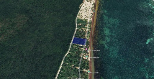 Oceanfront Land for Sale – Mahahual, Quintana Roo