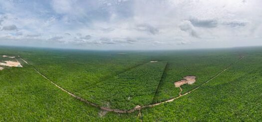 Valamná – Exclusive Lots for Sale in the Mayan Jungle