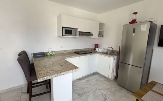 Turnkey Condo Near Fifth Avenue