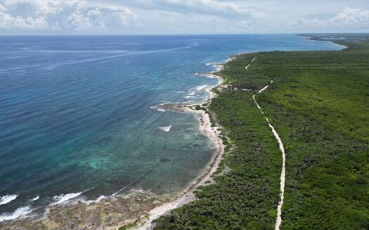Exclusive Oceanfront Lots for Sale in Mahahual, Mexico