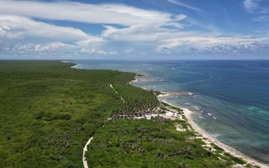 Exclusive Oceanfront Lots for Sale in Mahahual, Mexico