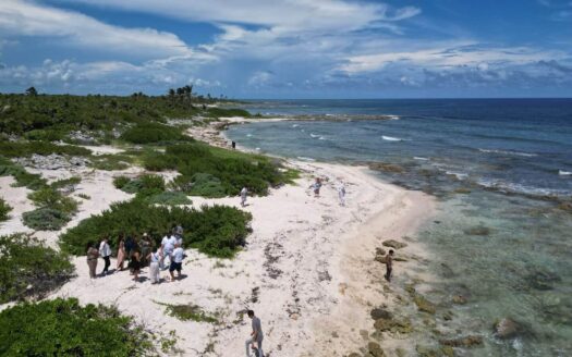Exclusive Oceanfront Lots for Sale in Mahahual, Mexico