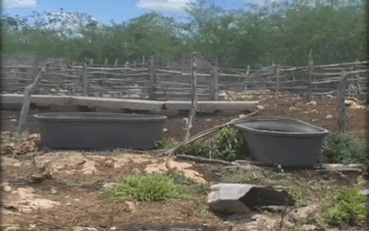 190-Acre Ranch for Sale in Yucatán | Exceptional Land Investment Opportunity in Mexico