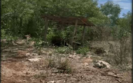 190-Acre Ranch for Sale in Yucatán | Exceptional Land Investment Opportunity in Mexico