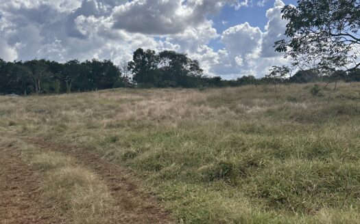 17.3-Acre Commercial Development Land for Sale in Tizimín, Yucatán