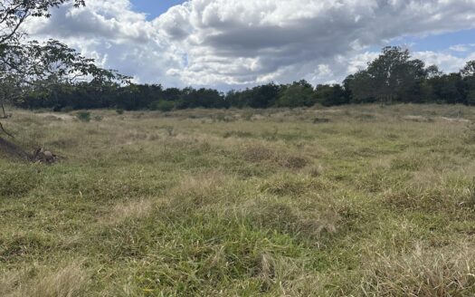 17.3-Acre Commercial Development Land for Sale in Tizimín, Yucatán