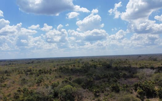 Candelaria Ranch | 902-Acre Turnkey Cattle Ranch for Sale in Yucatán, Mexico