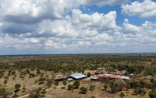 Candelaria Ranch | 902-Acre Turnkey Cattle Ranch for Sale in Yucatán, Mexico
