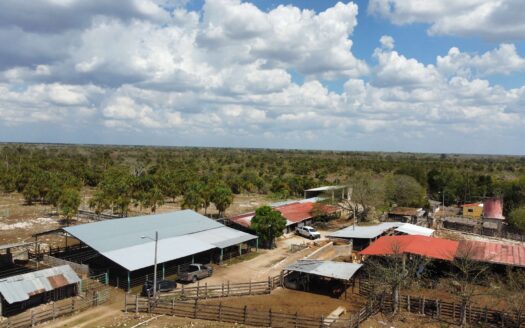 Candelaria Ranch | 902-Acre Turnkey Cattle Ranch for Sale in Yucatán, Mexico