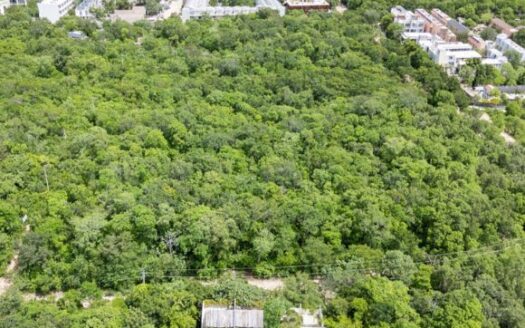 Studio for Sale in La Veleta, Tulum